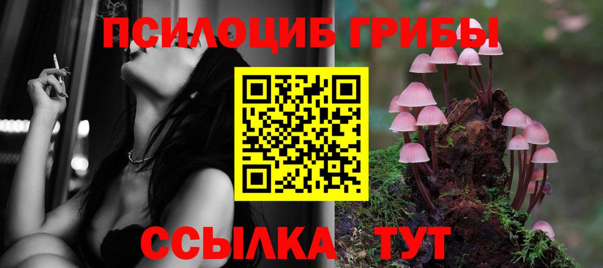 Псилоцибиновые грибы Psilocybine cubensis  хочу   Мурманск  Вход с VPN 